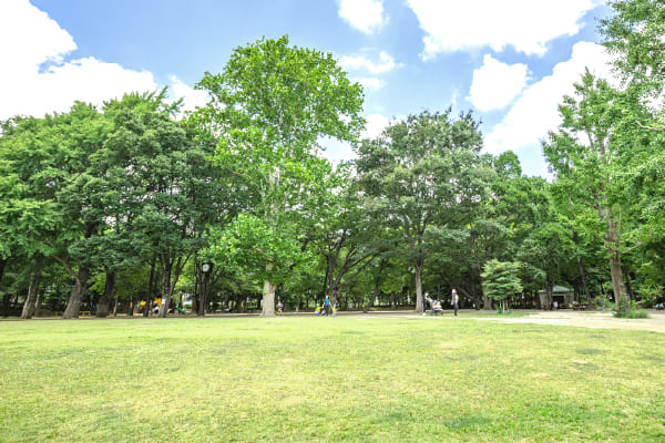 ［井草森公園］原っぱ